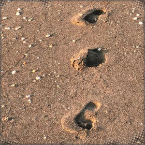 Foot prints in the sand on the Sunken Isle