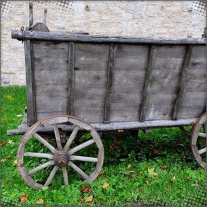 Broken down Cart on the way home to Camerondale