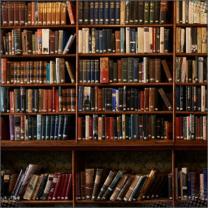 Room full of Books under the Library