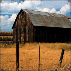 Barn just outside the gates of Camerondale