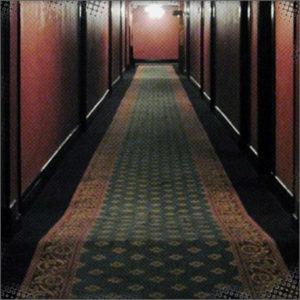 Hallway of the Inn Chance and Khamyra were at